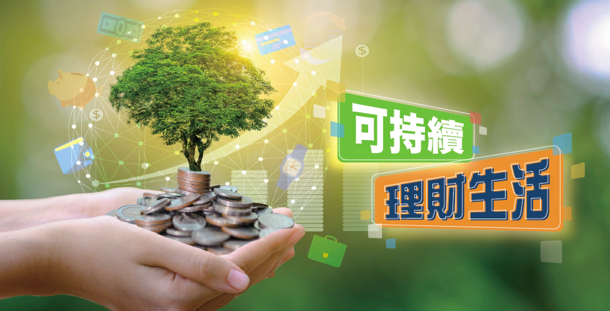 如何制作钞票蛋糕?钞票蛋糕又该如何制作?
